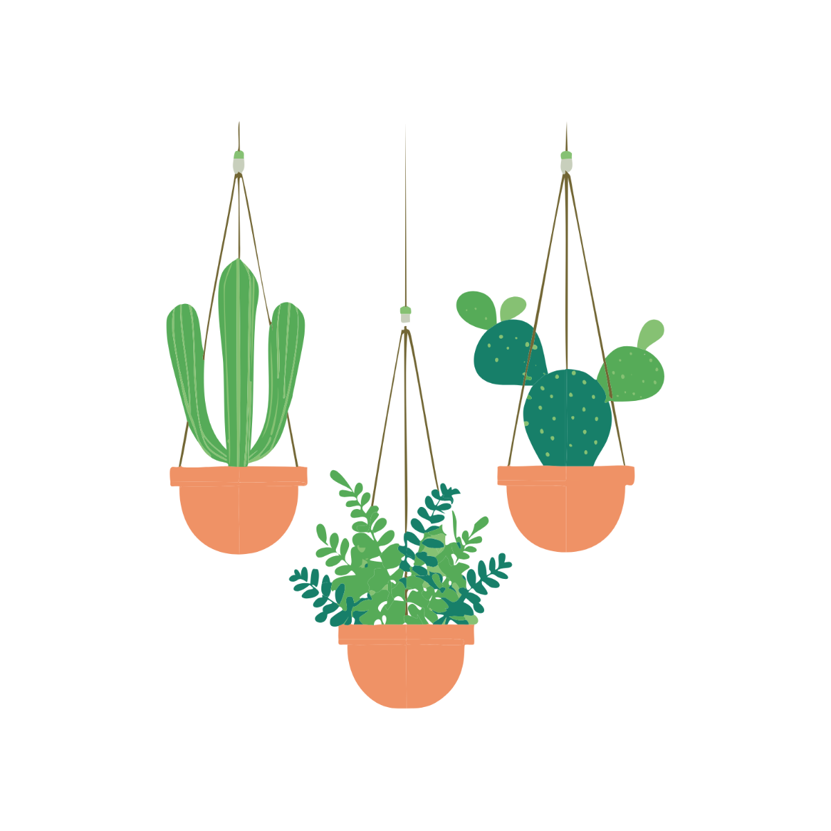 Hanging Indoor Plants