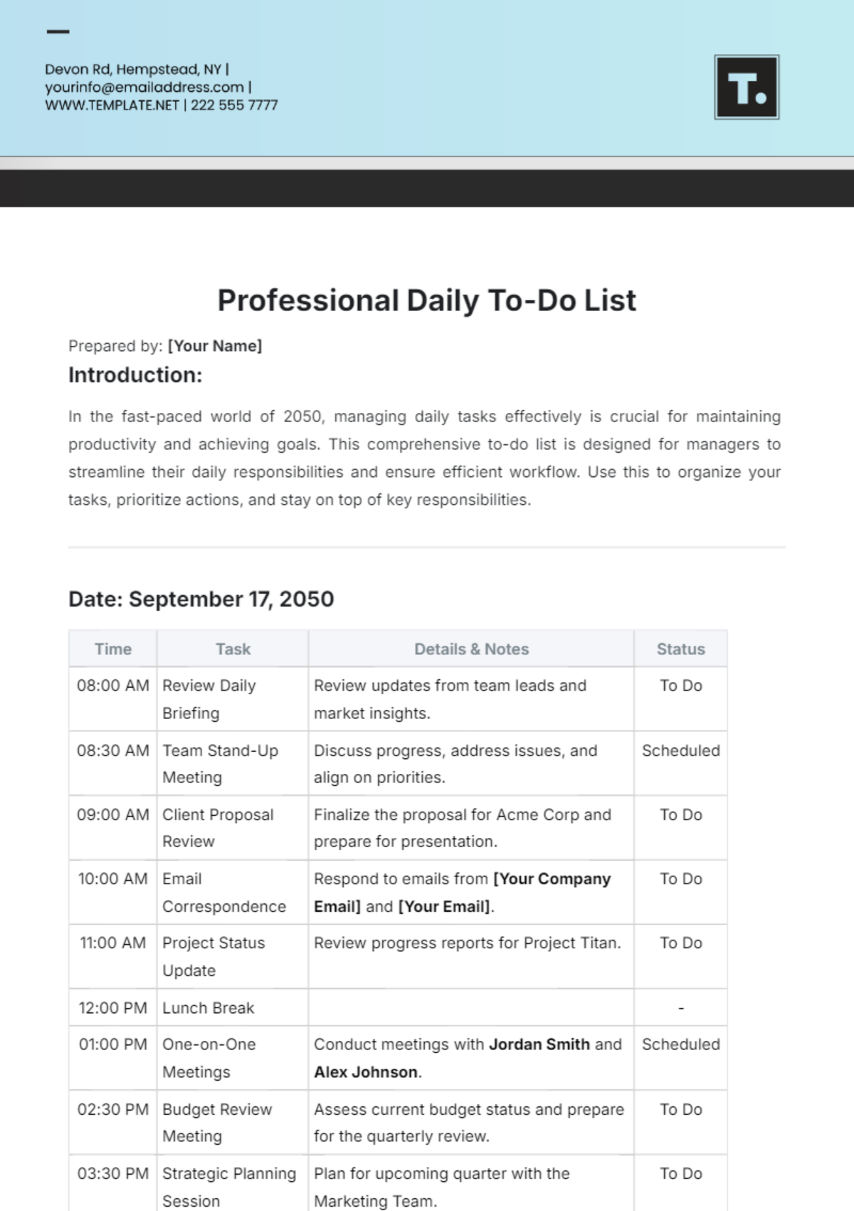 Professional Daily To Do List Template