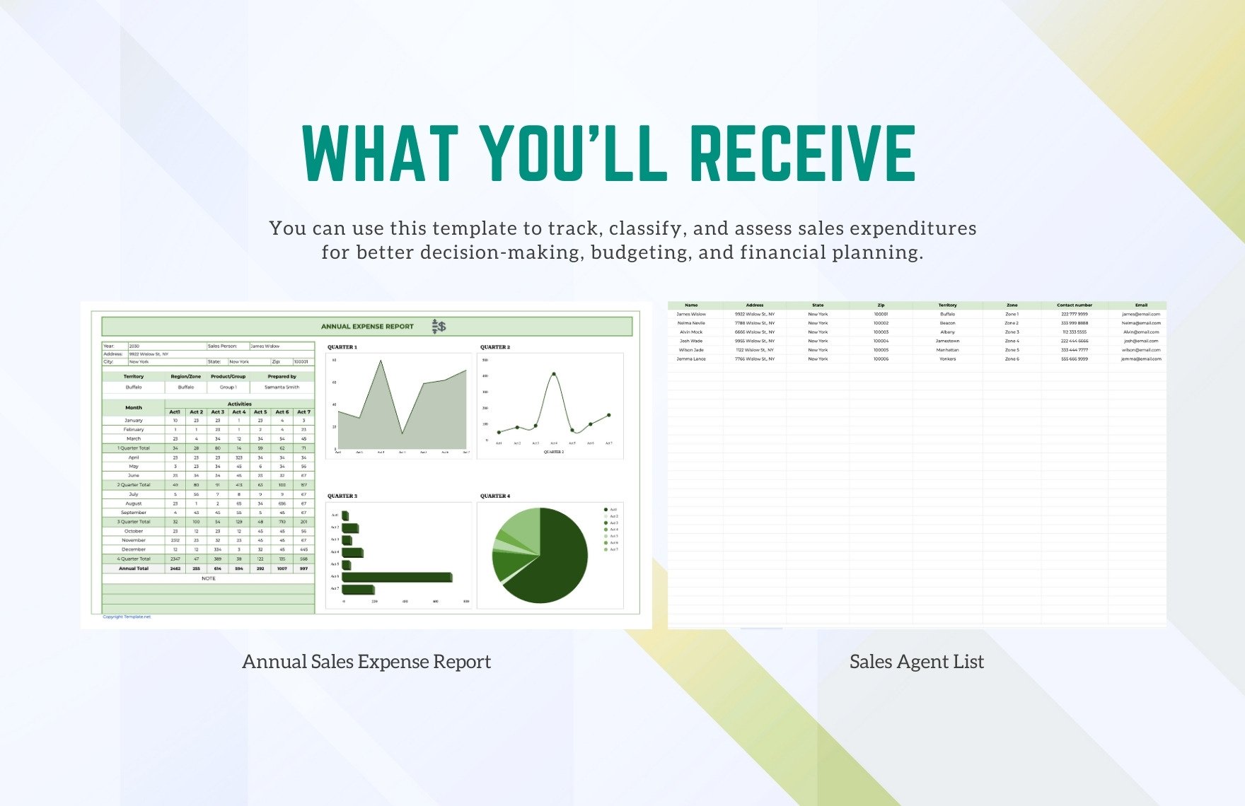 Annual Sales Expense Report Template