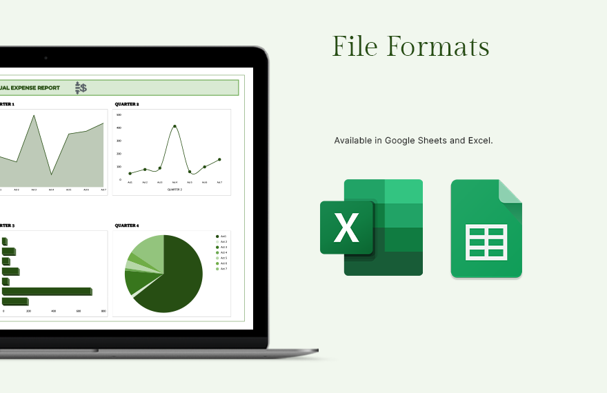 Annual Sales Expense Report Template