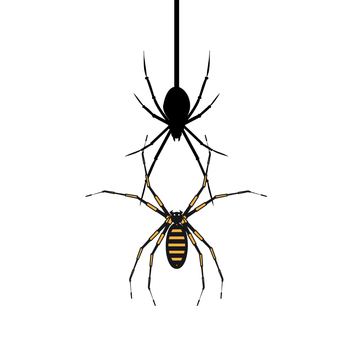 Halloween Spider Clipart