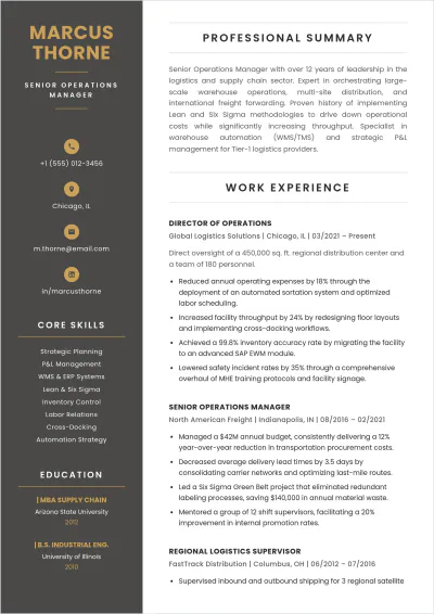 Free Professional ATS Resume Template to Edit Online