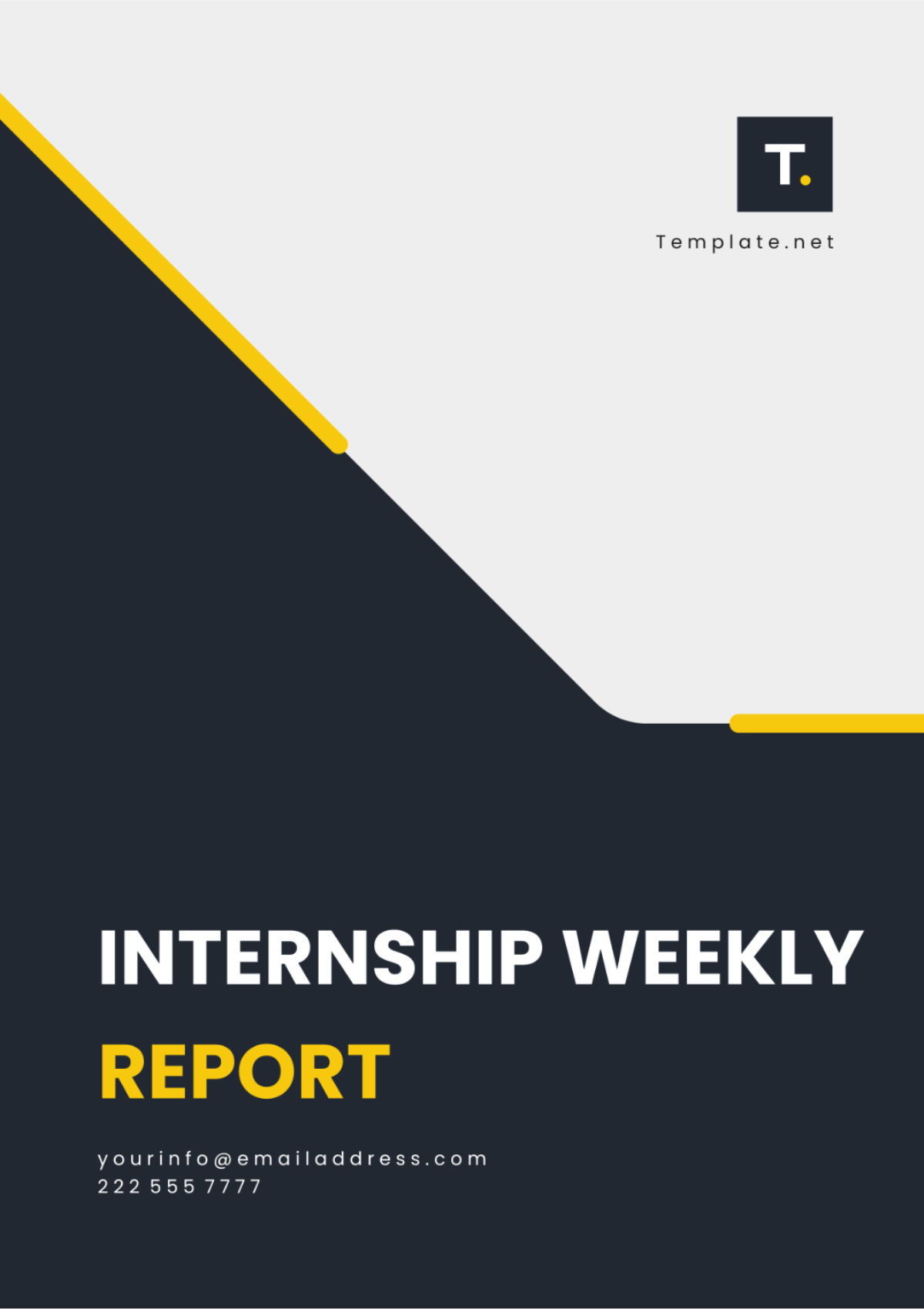 Internship Weekly Report Template - Edit Online & Download