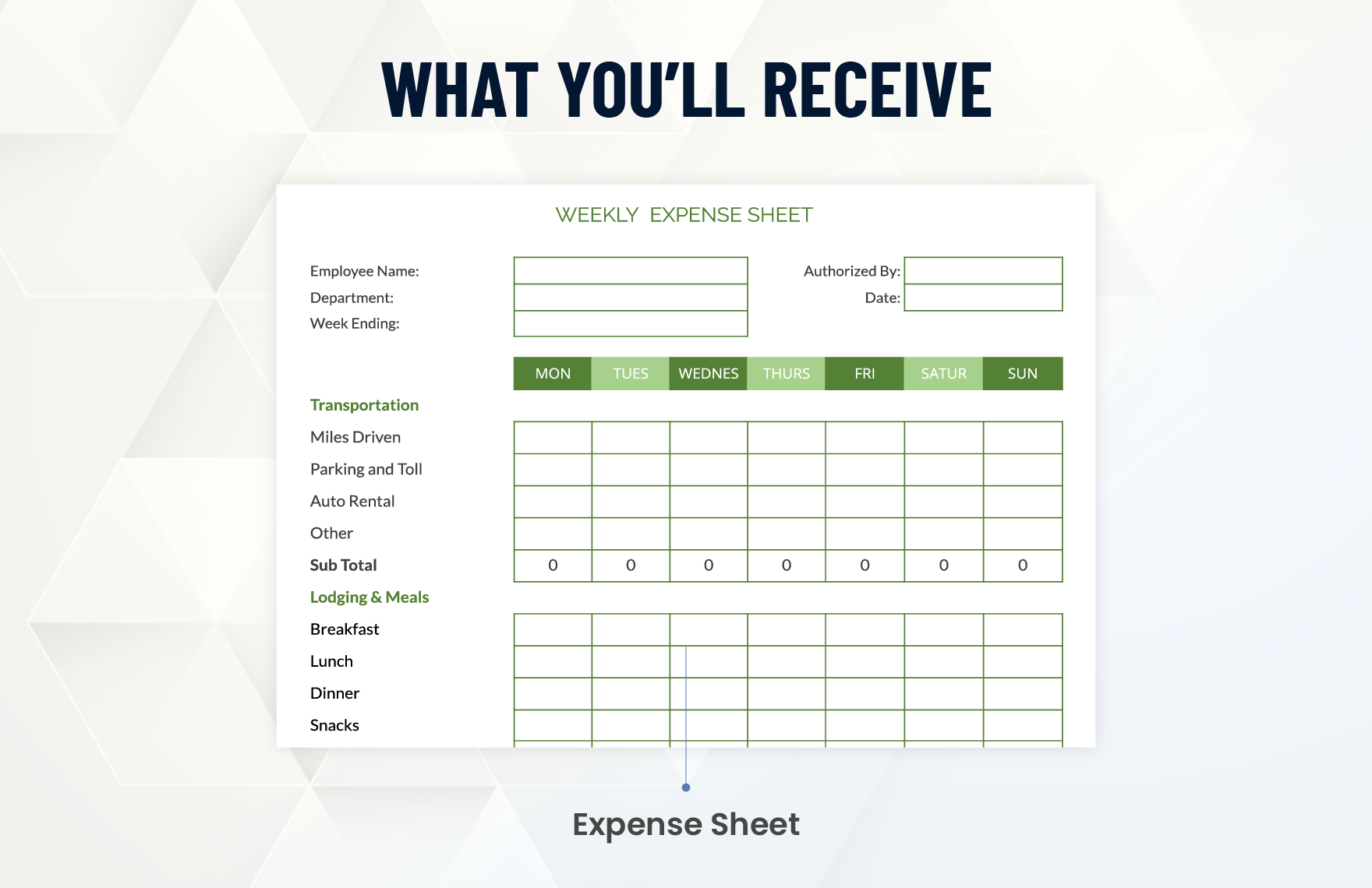 Weekly Expense Sheet Template