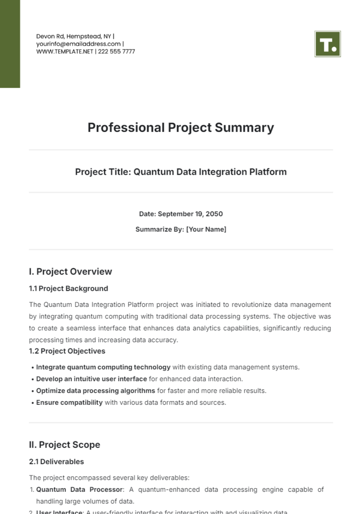 Professional Project Summary Template - Edit Online & Download