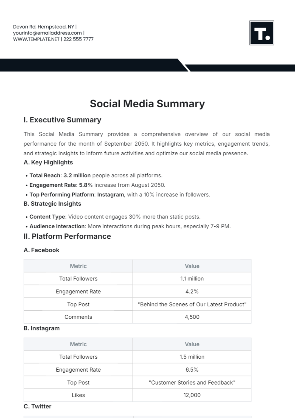 Social Media Summary Template - Edit Online & Download