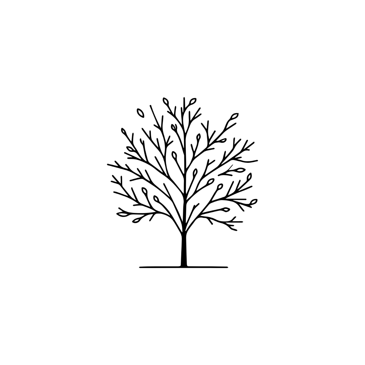 Tree Outline Clipart