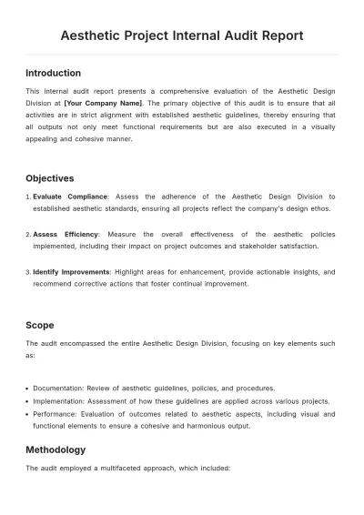 Free Aesthetic Project Internal Audit Report Template to Edit Online