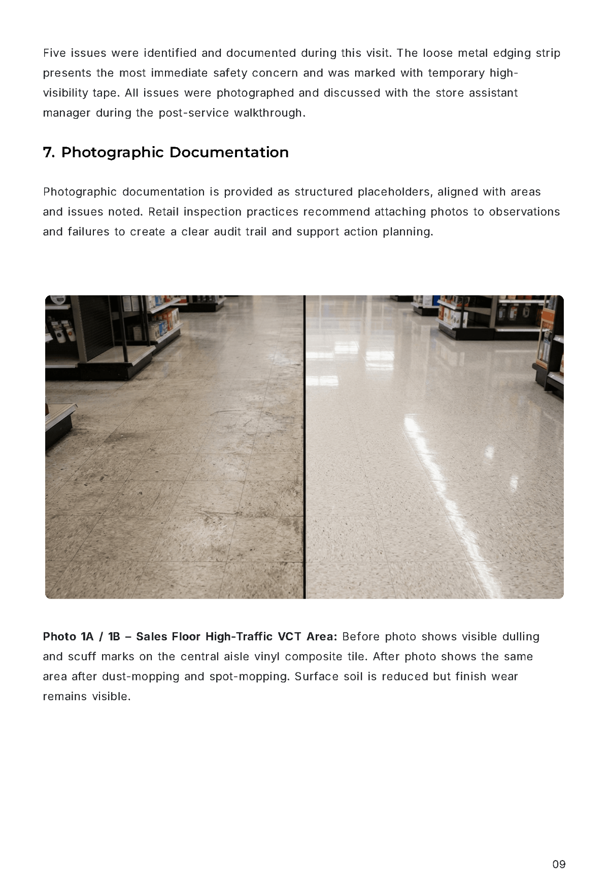 Free Cleaning Service Report Template to Edit Online