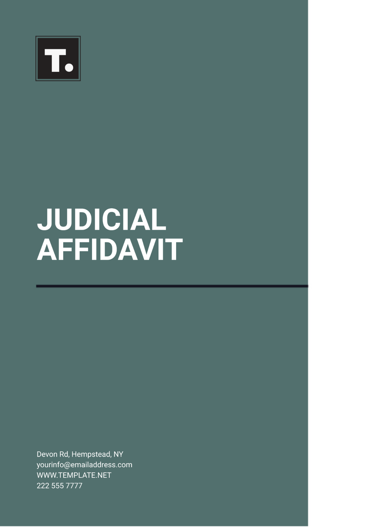 Judicial Affidavit Template - Edit Online & Download