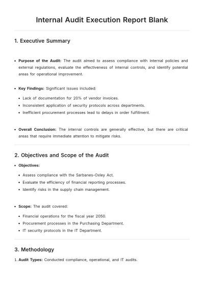 Free Internal Audit Execution Report Blank Template to Edit Online