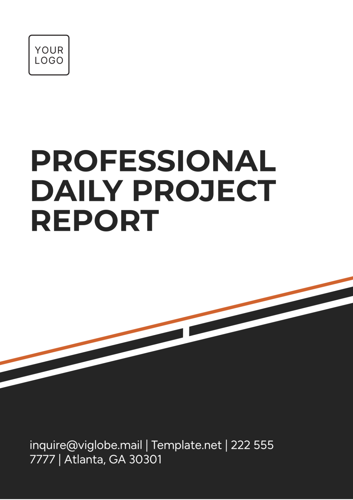 Professional Daily Project Report  Template