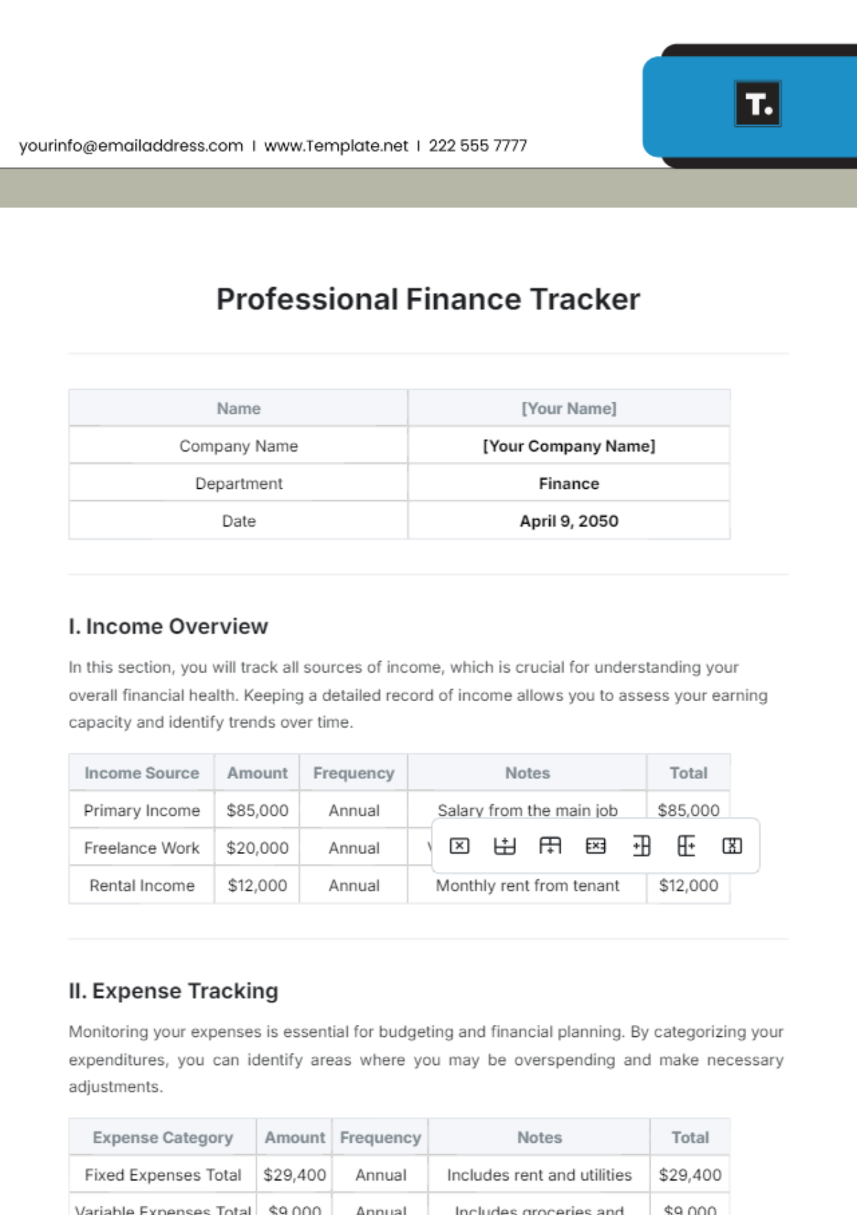 Professional  Finance Tracker Template