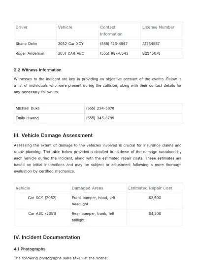 Free Car Rental Incident Report Template to Edit Online