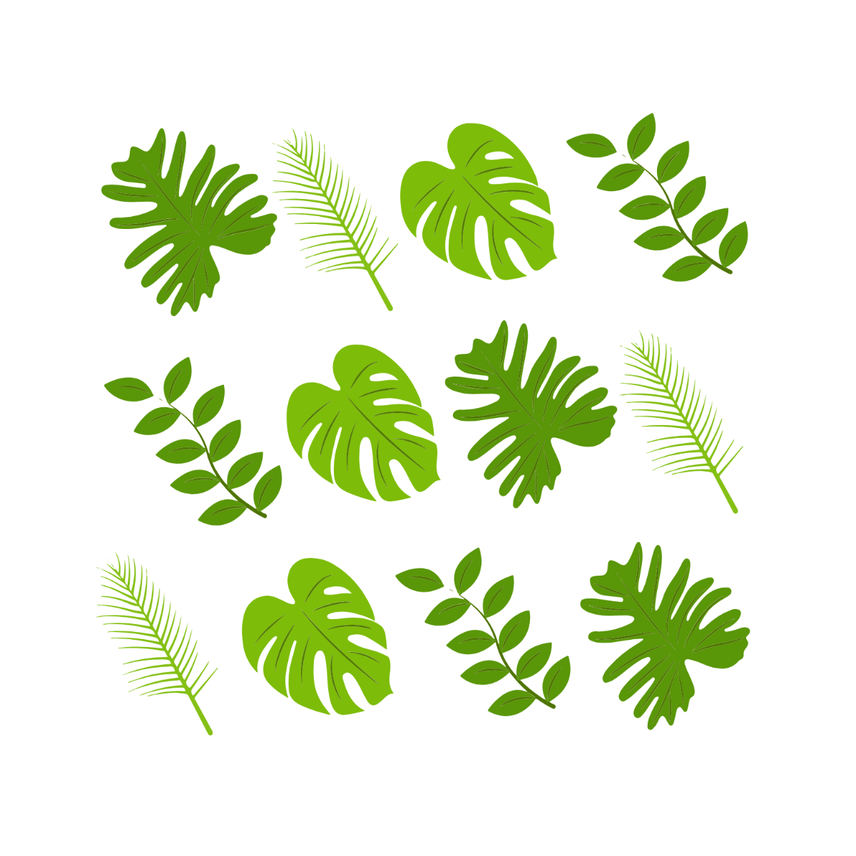 Tropical Patterns Clipart