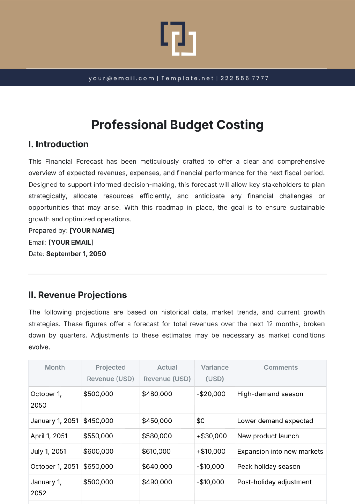 Professional Budget Costing Template - Edit Online & Download