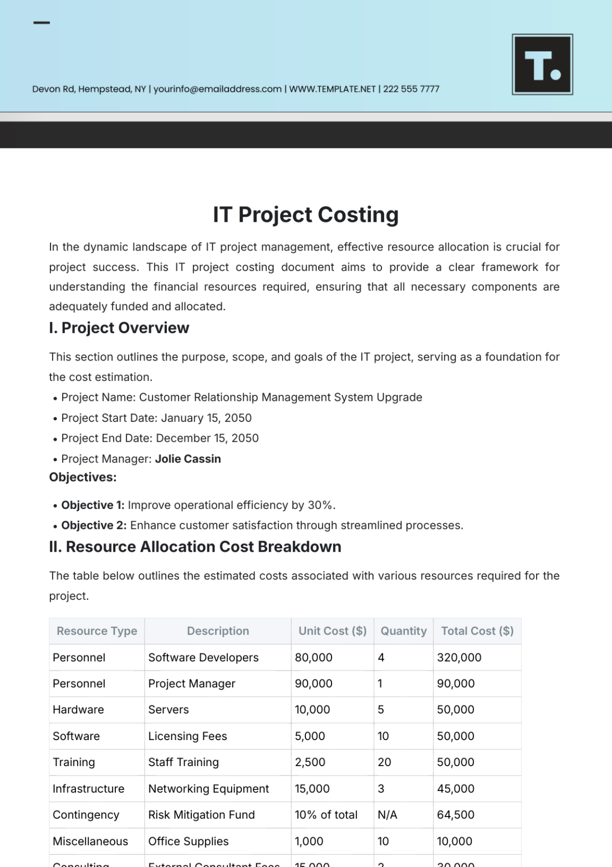 IT Project Costing Template