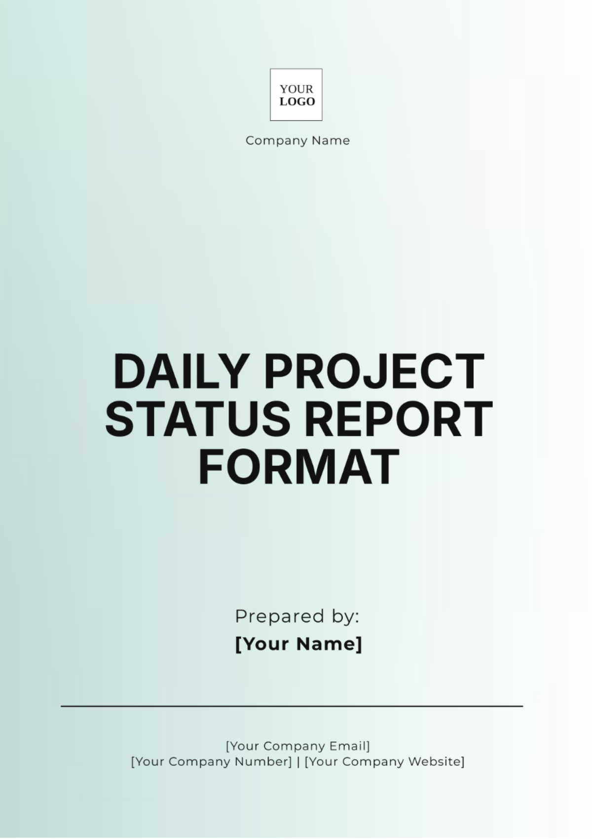 Daily Project Status Report Format Template