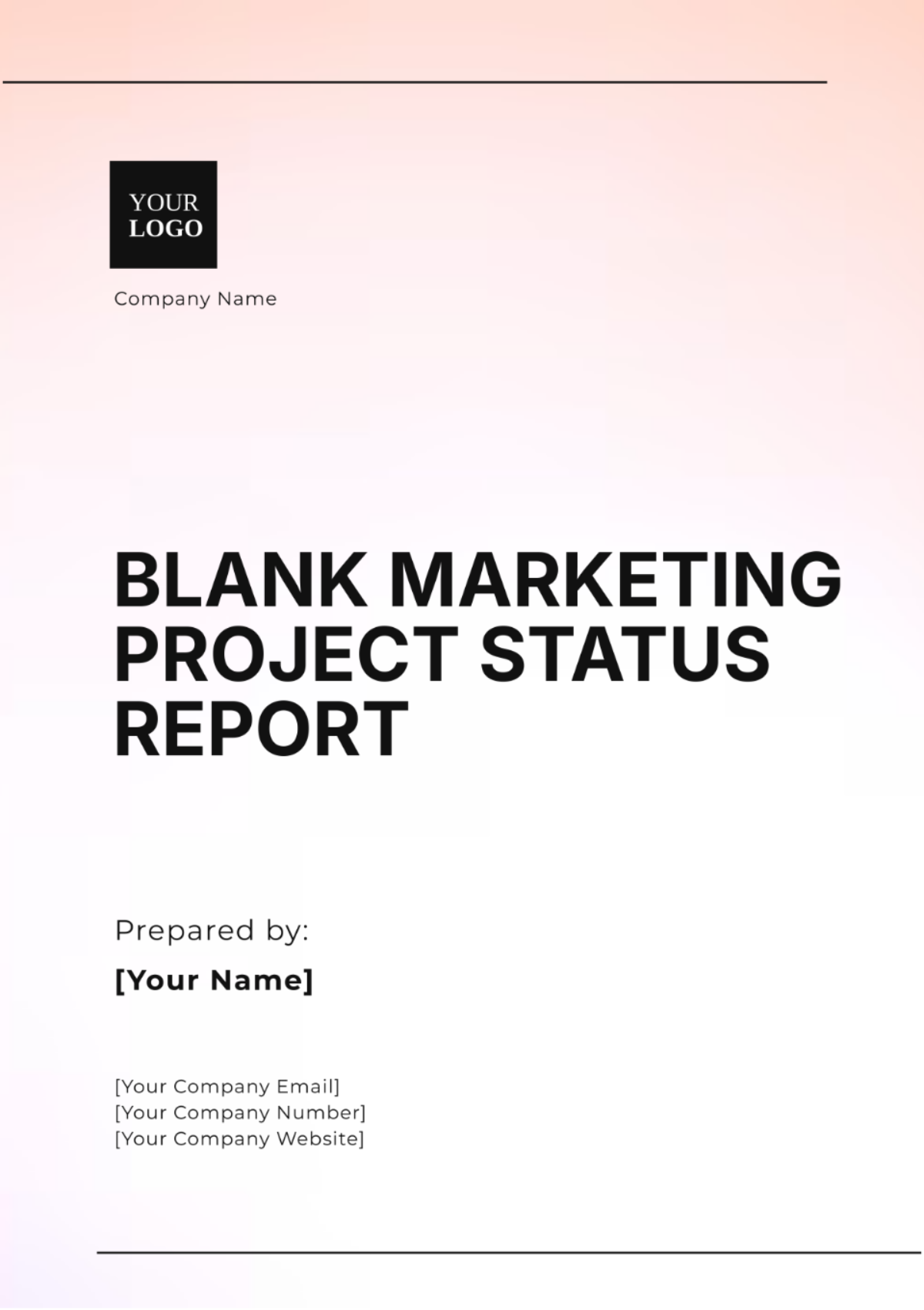 Blank Marketing Project Status Report Template