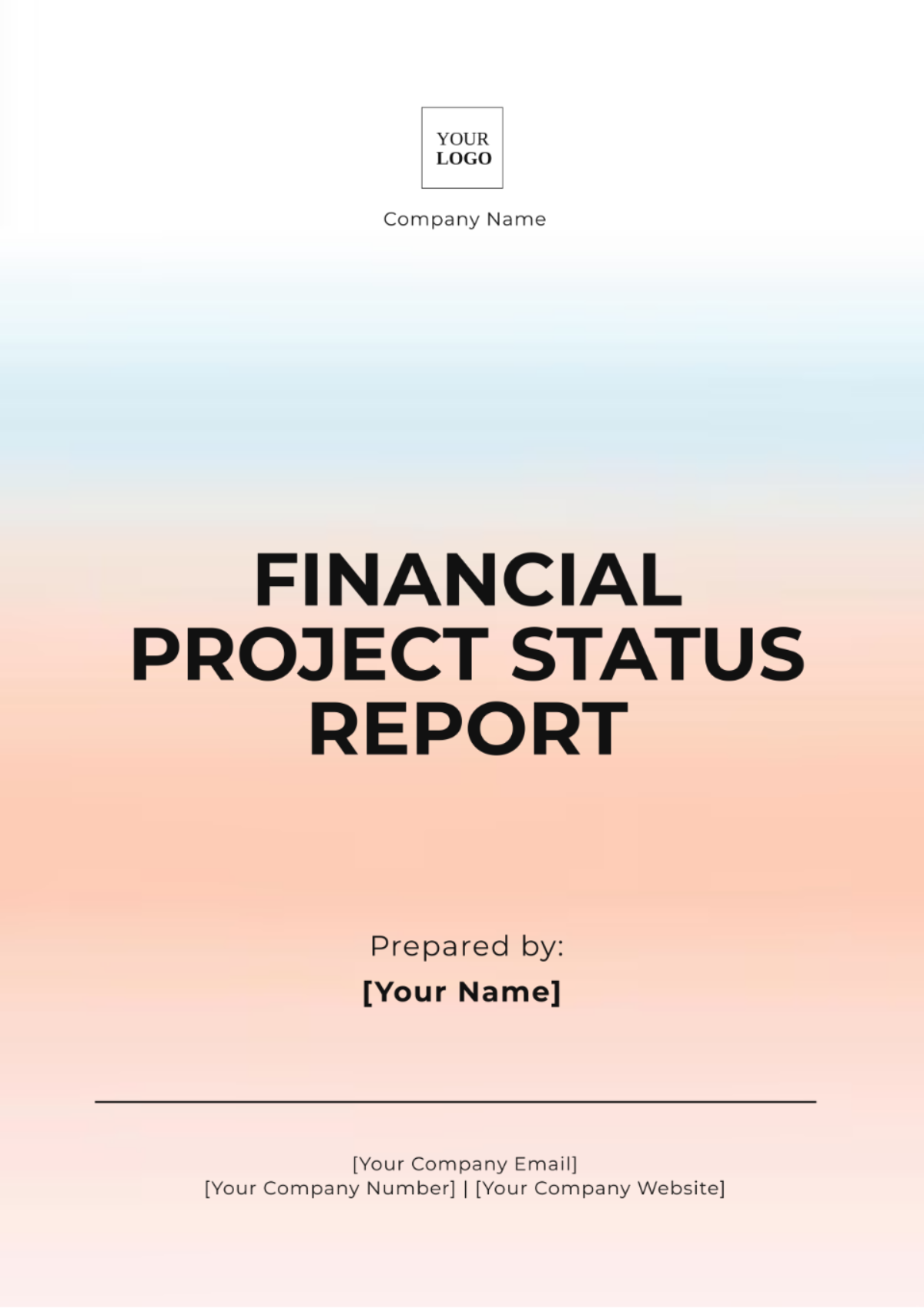 Financial Project Status Report Template