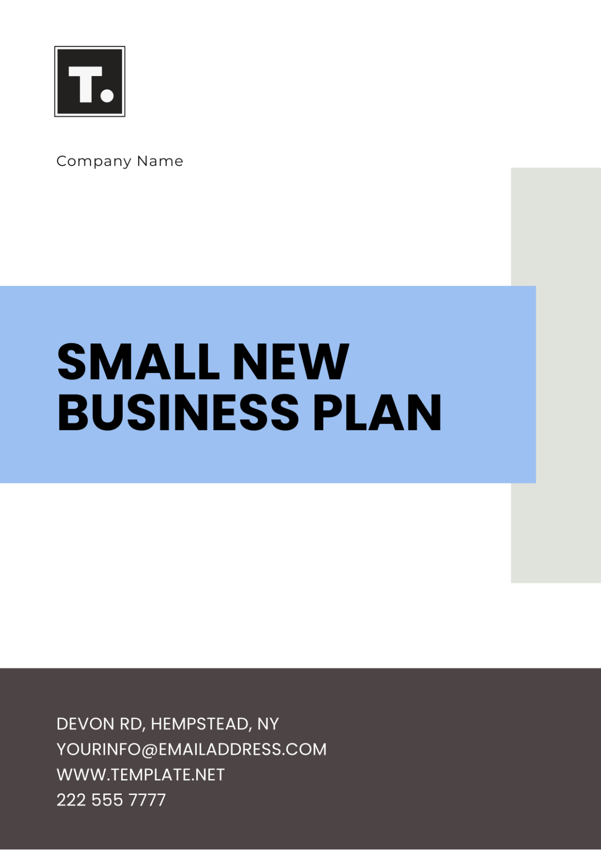 Small New Business Plan Template