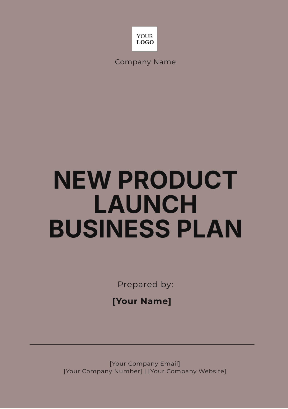 New Product Launch Business Plan Template