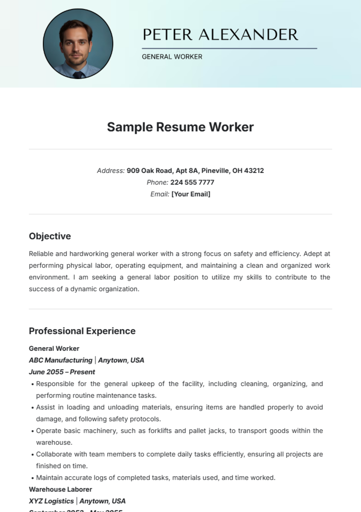 Sample Resume Worker Template - Edit Online & Download