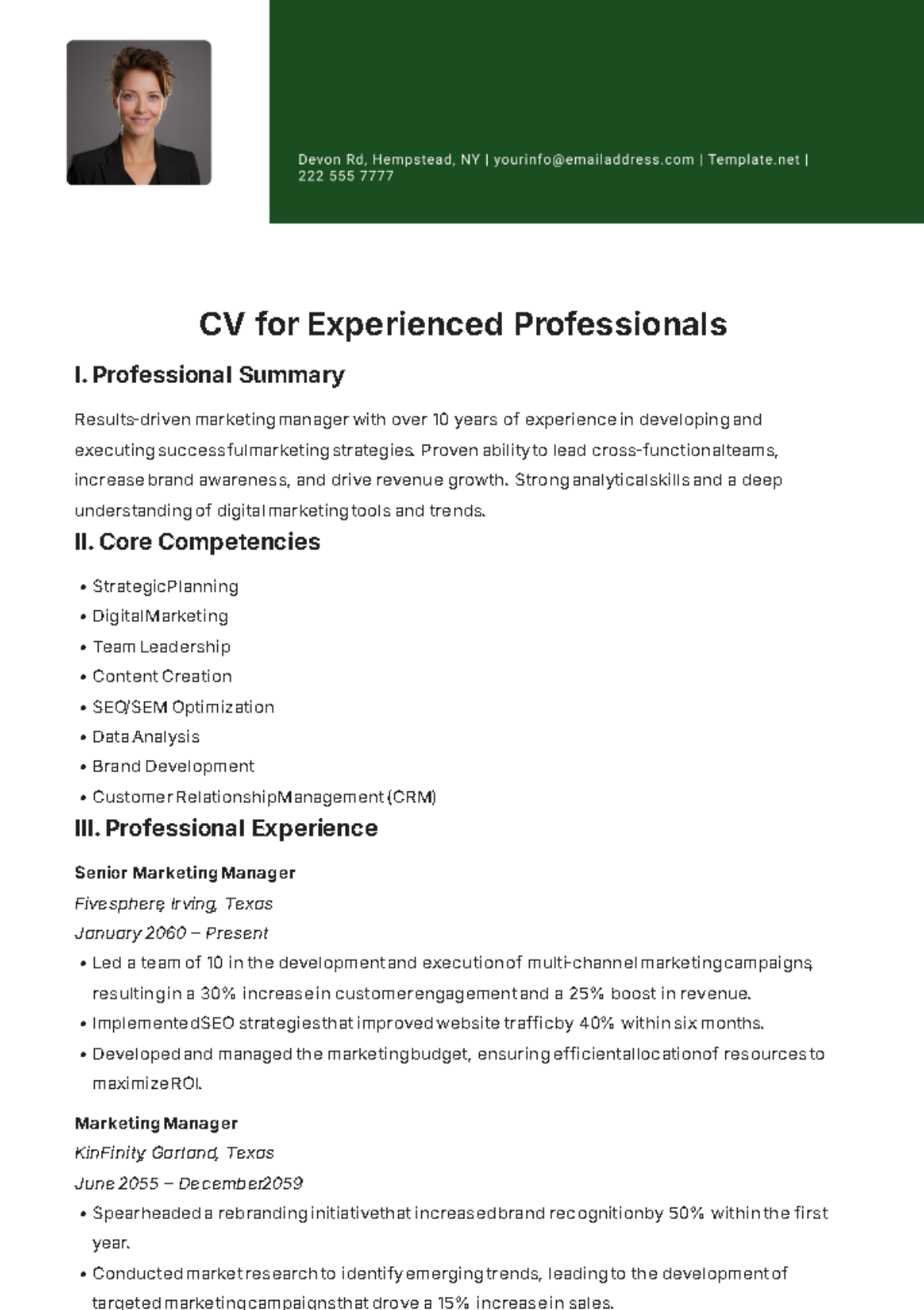 Free CV for Experienced Professionals Template - Edit Online & Download ...