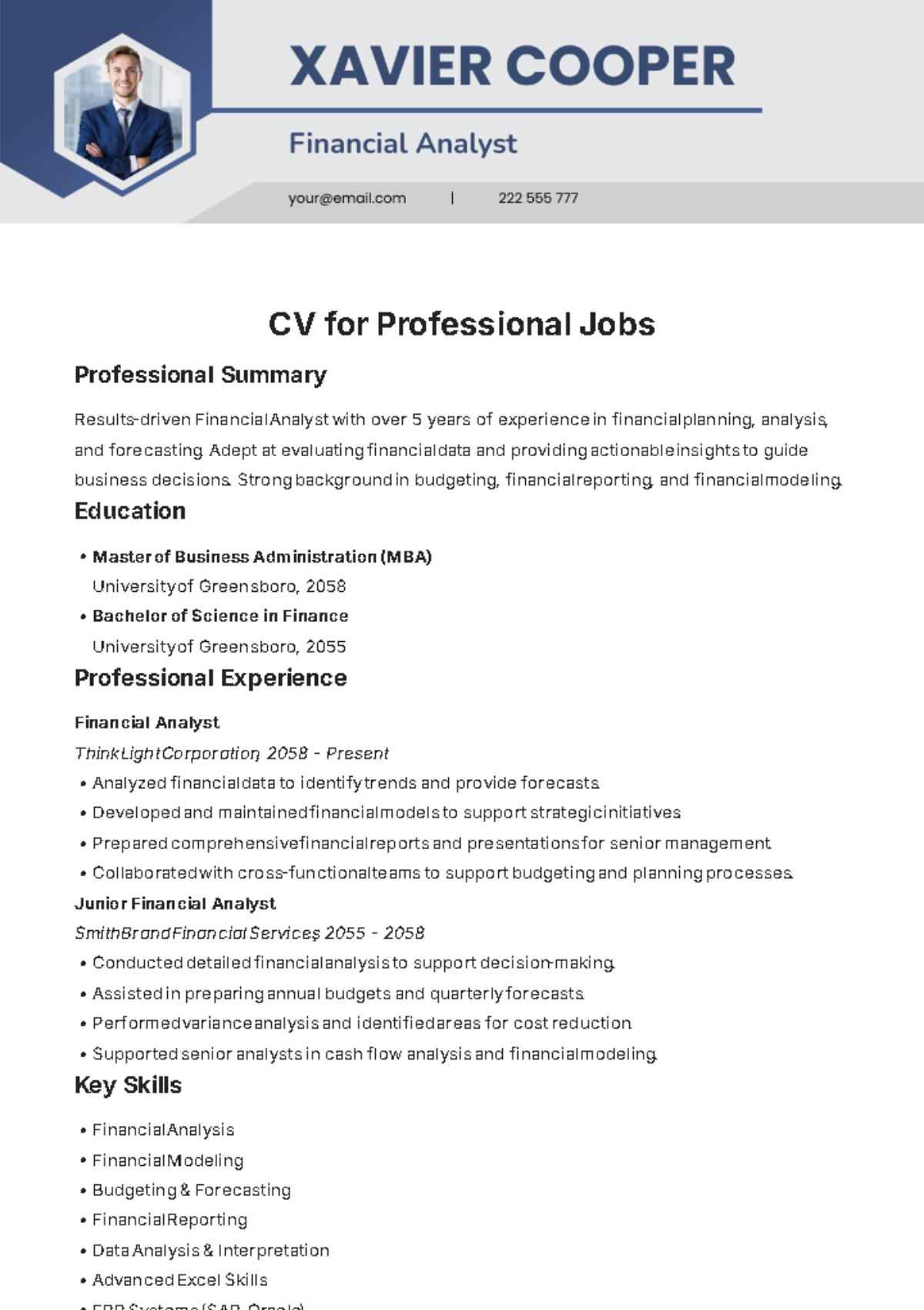 CV Template for Professional Jobs - Edit Online & Download