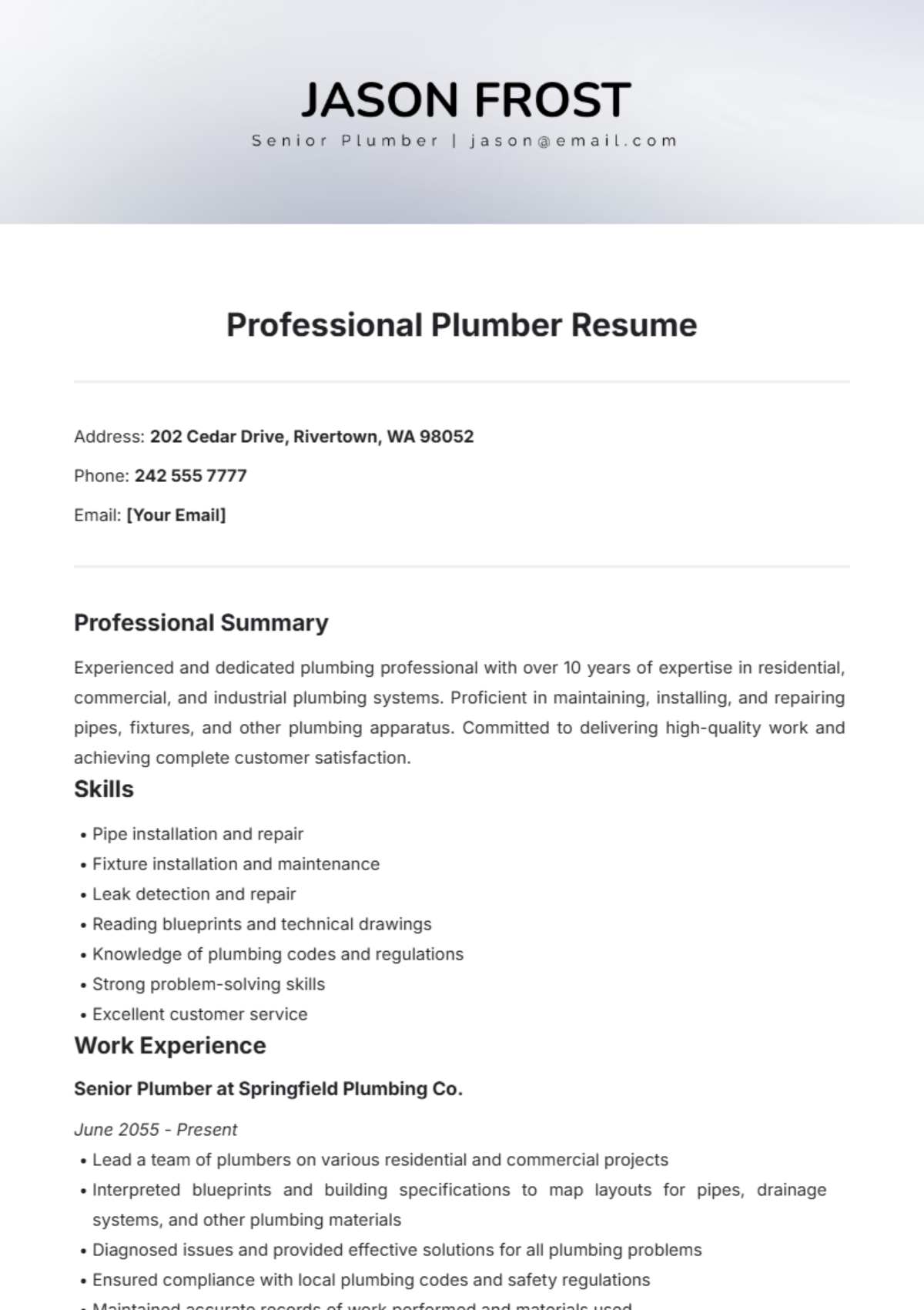 Professional Plumber Resume Template - Edit Online & Download