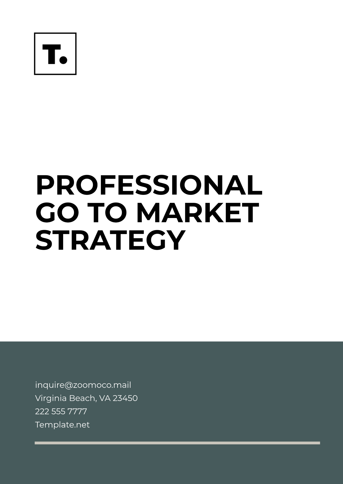 Free Professional Go to Market Strategy Template