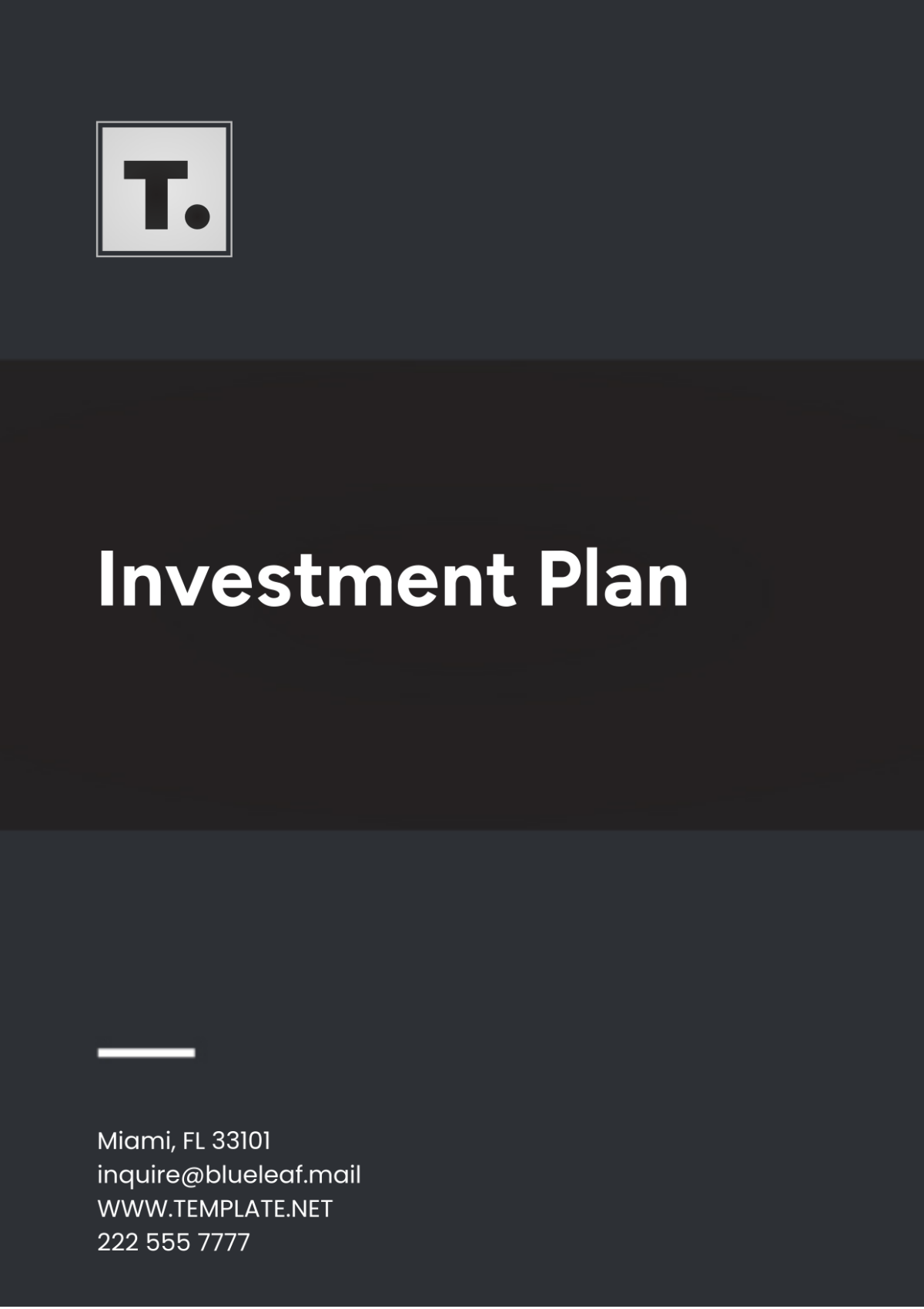 Investment Plan Template - Edit Online & Download