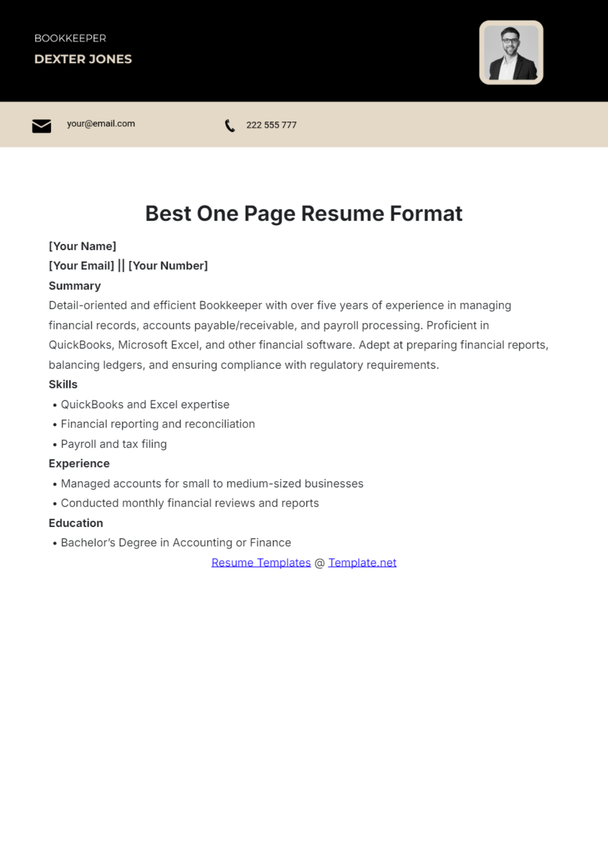 Best One Page Resume Format Template - Edit Online & Download