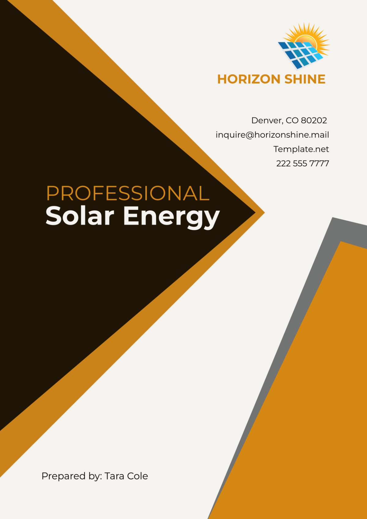 Professional Solar Energy Cover Page