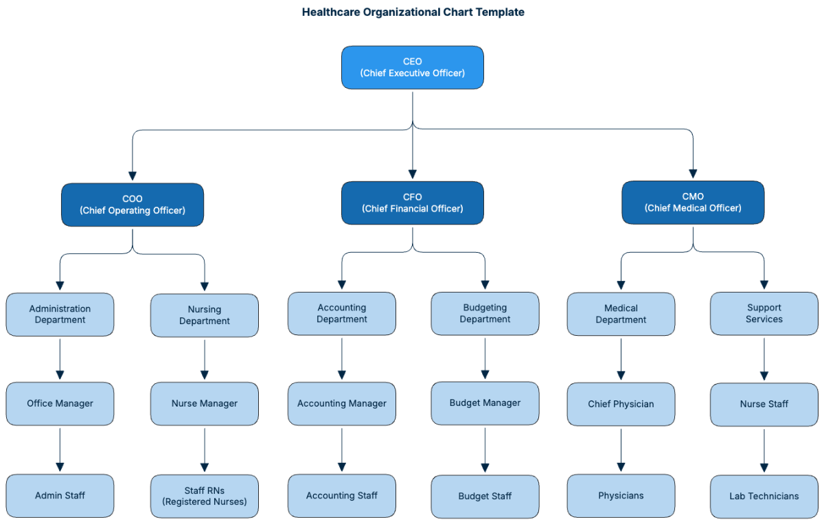 Healthcare Organizational Chart Template