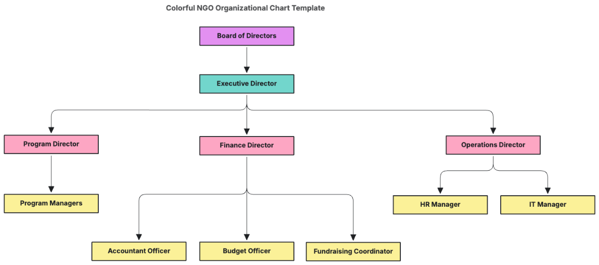 Colorful NGO Organizational Chart Template