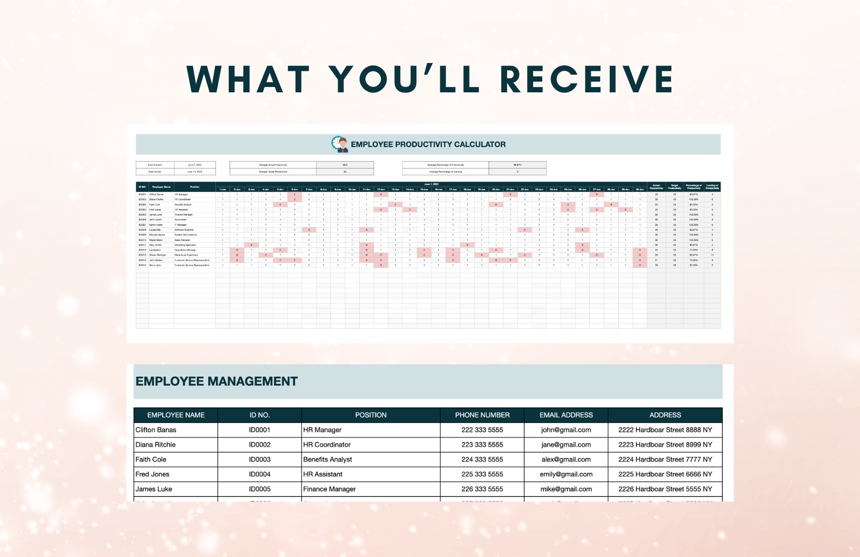 Employee Productivity Calculator Template