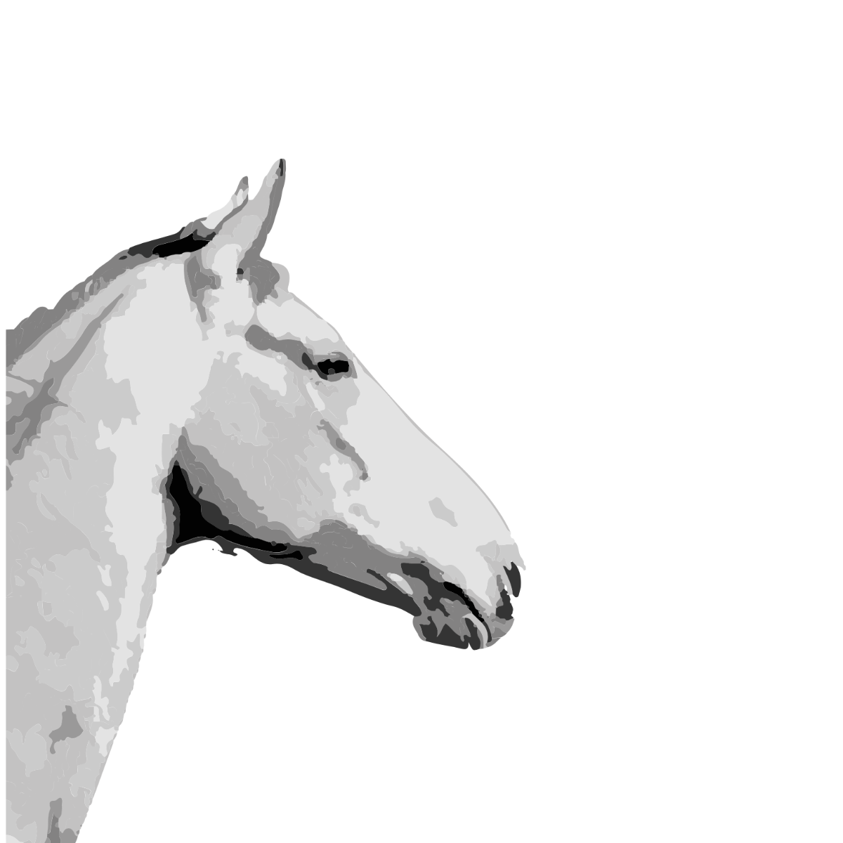 Realistic Horse Clipart