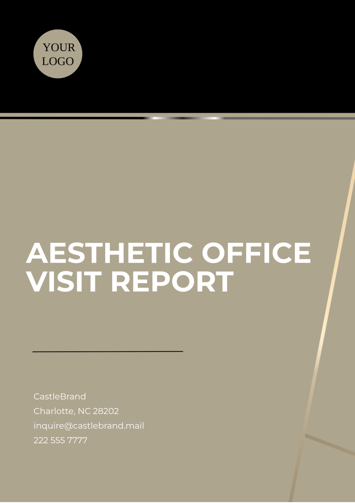 Aesthetic Office Visit Report Template - Edit Online & Download