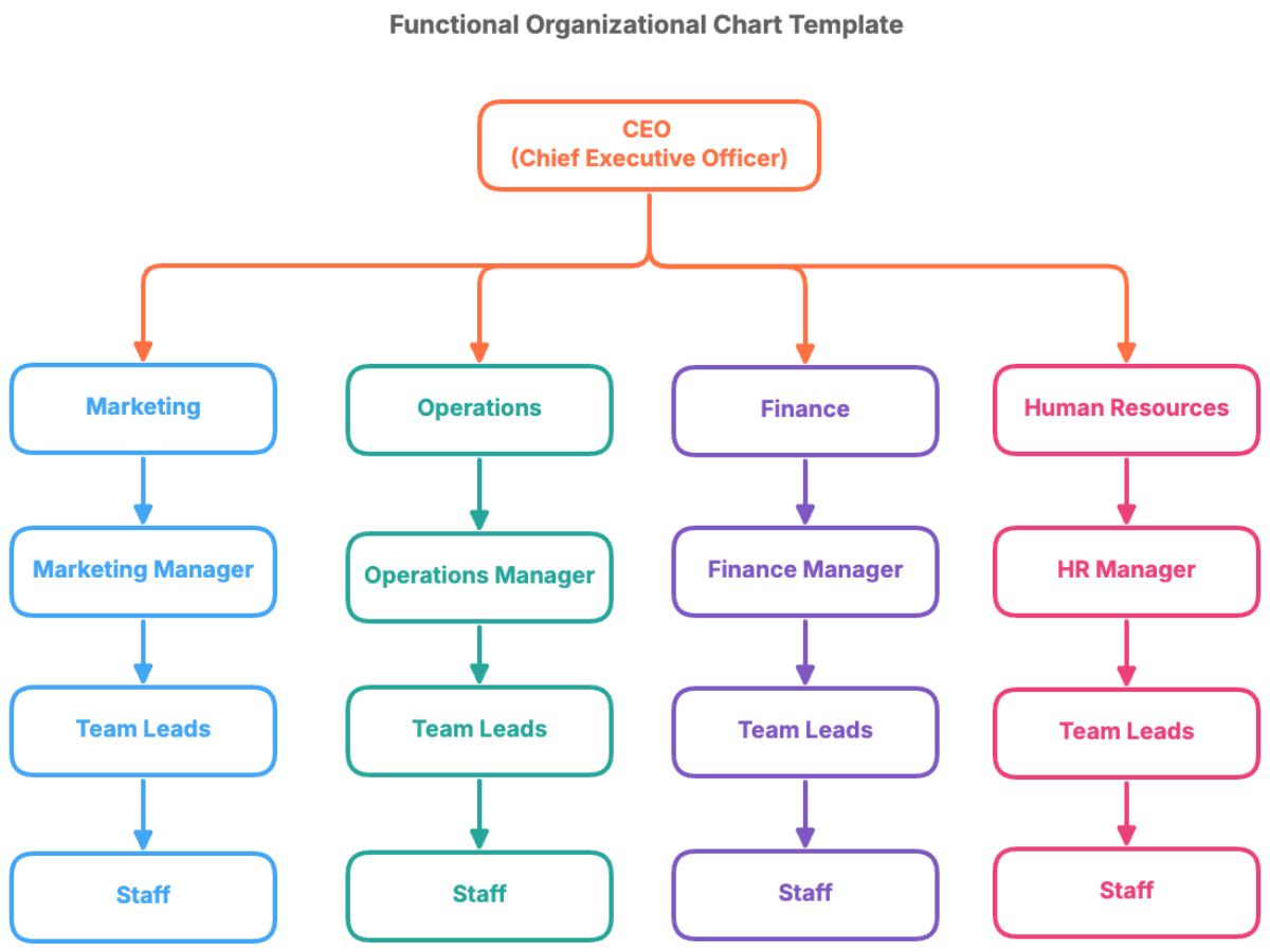 Functional Organizational Chart Template