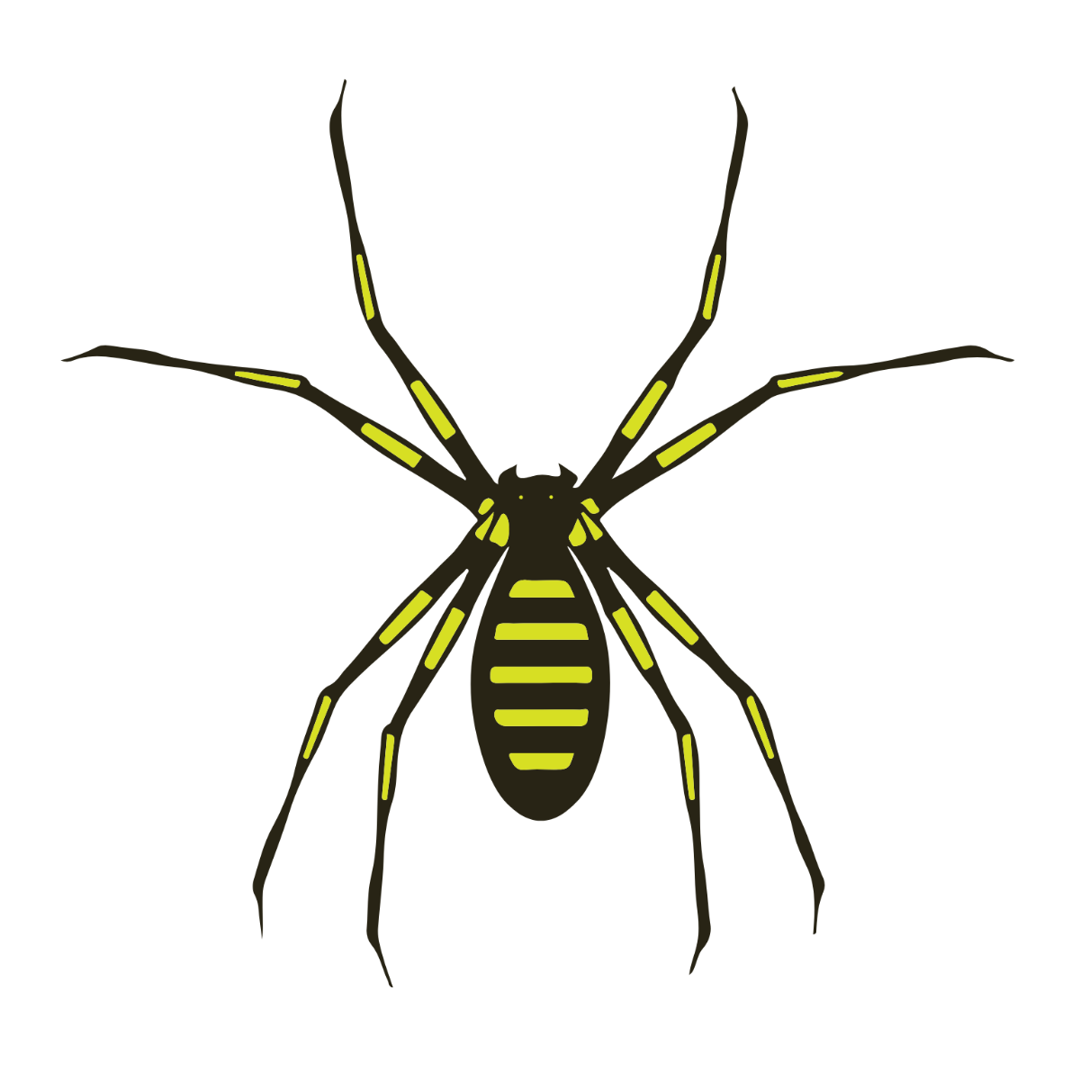 Transparent Spider Clipart