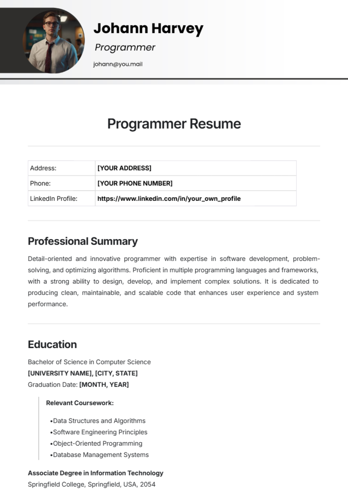 Programmer Resume Template - Edit Online & Download