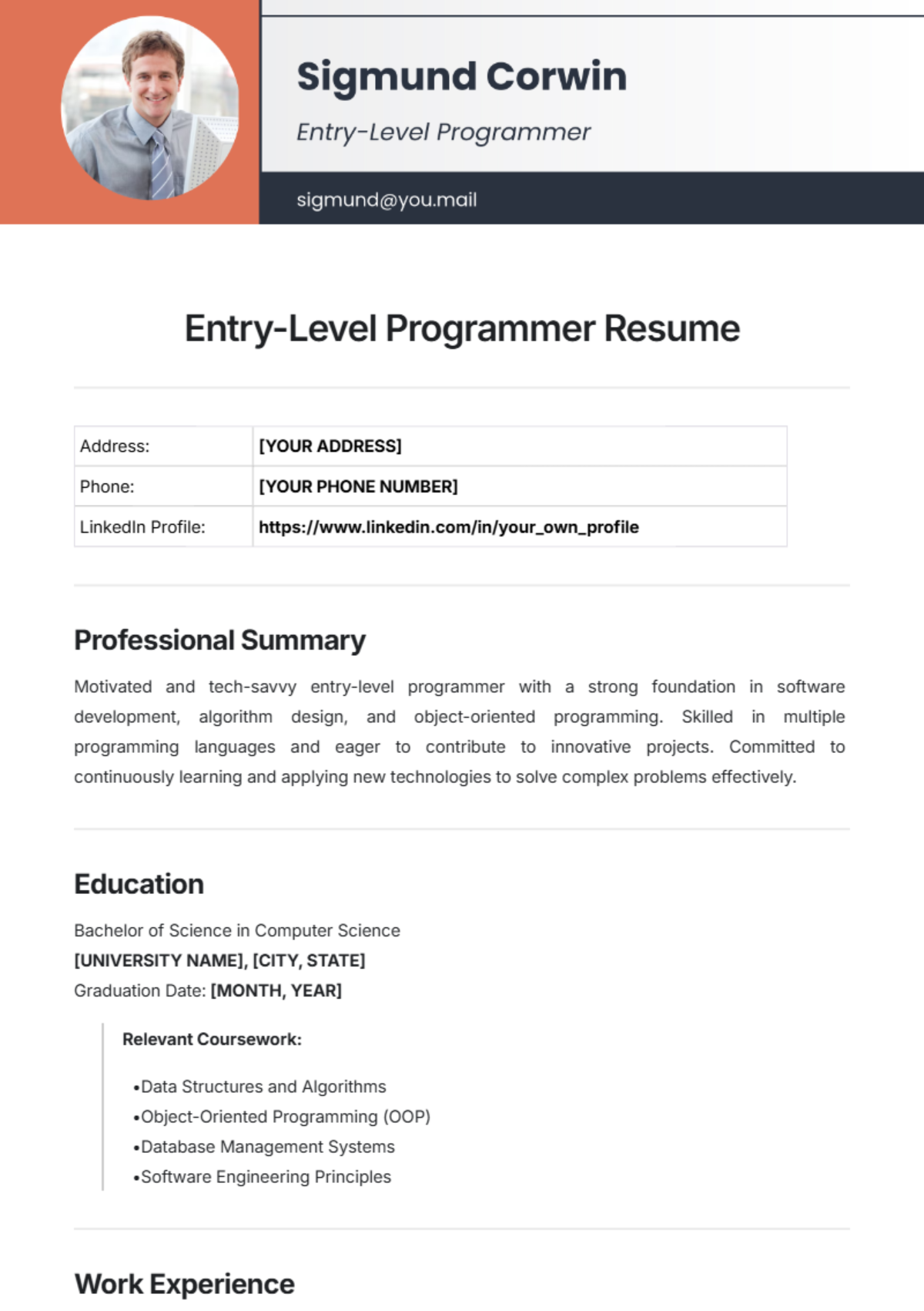 Entry-Level Programmer Resume Template - Edit Online & Download