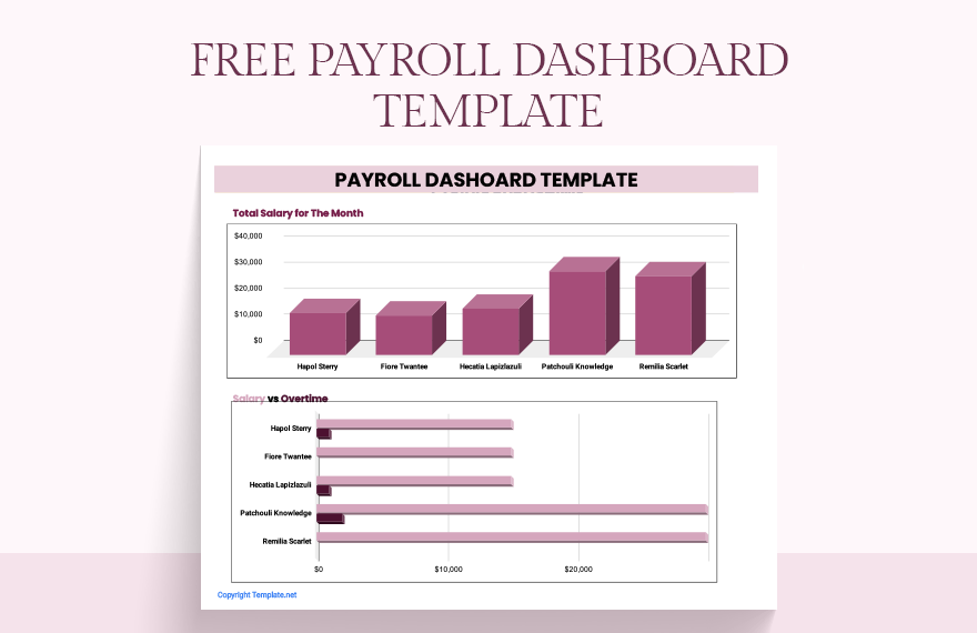 Payroll Dashboard Template