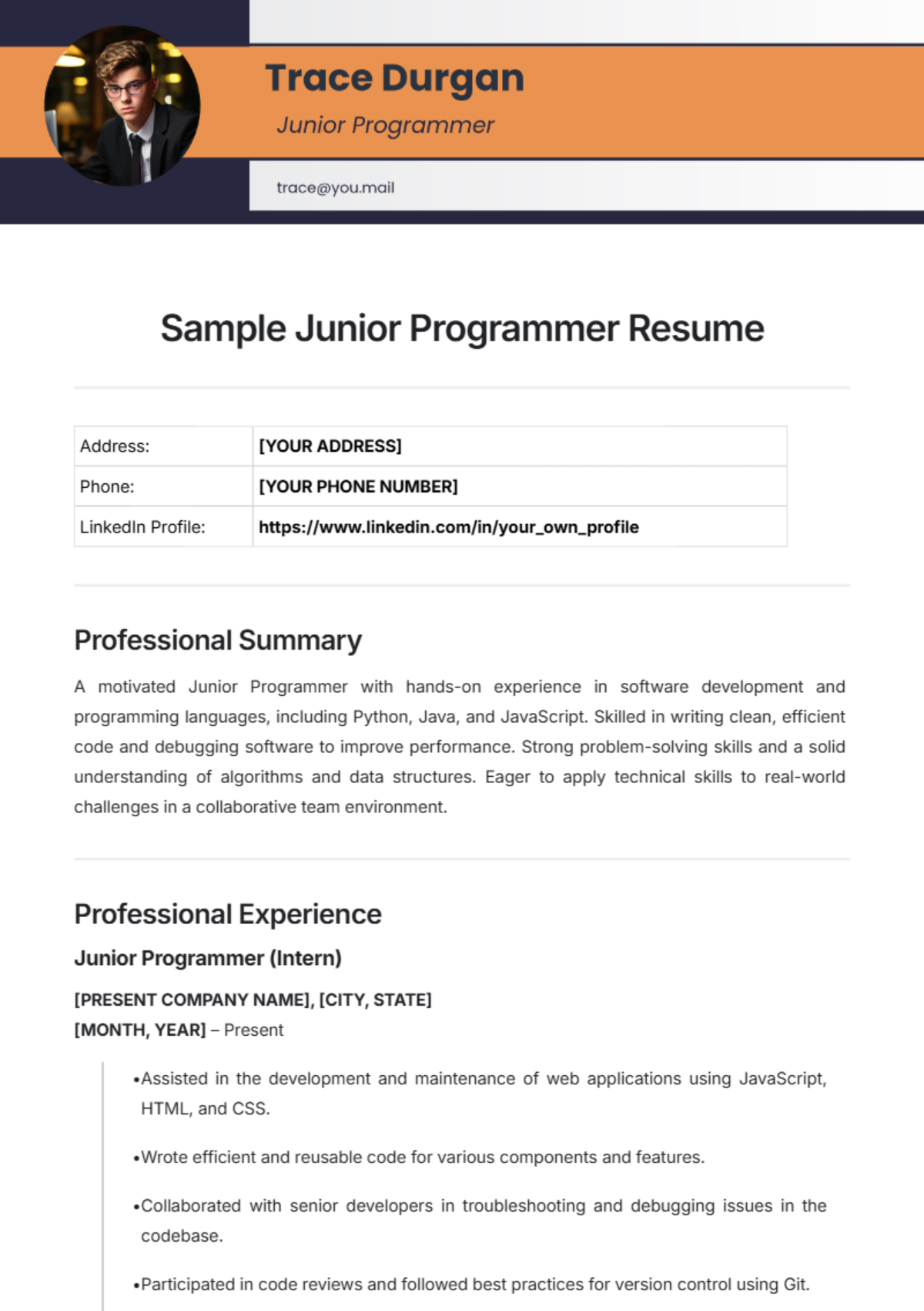 Sample Junior Programmer Resume Template - Edit Online & Download