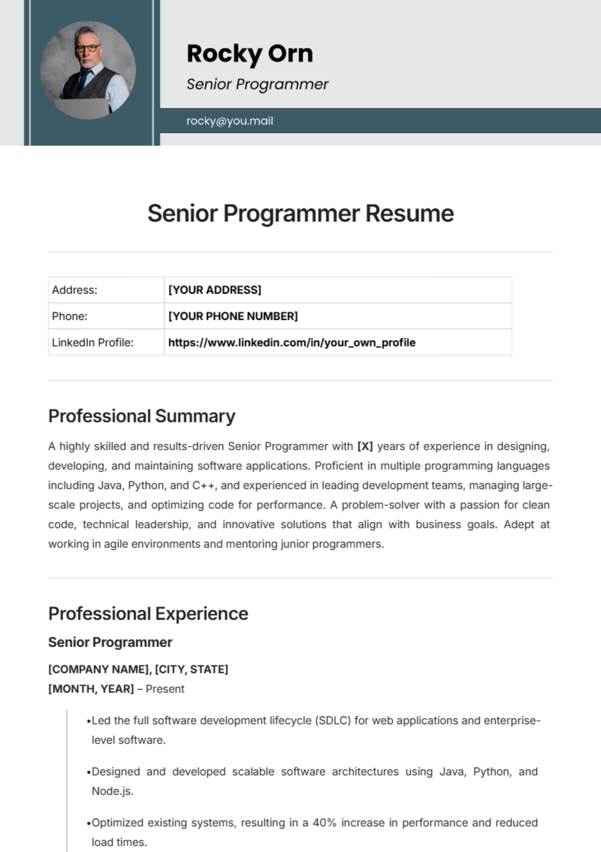 Senior Programmer Resume Template - Edit Online & Download