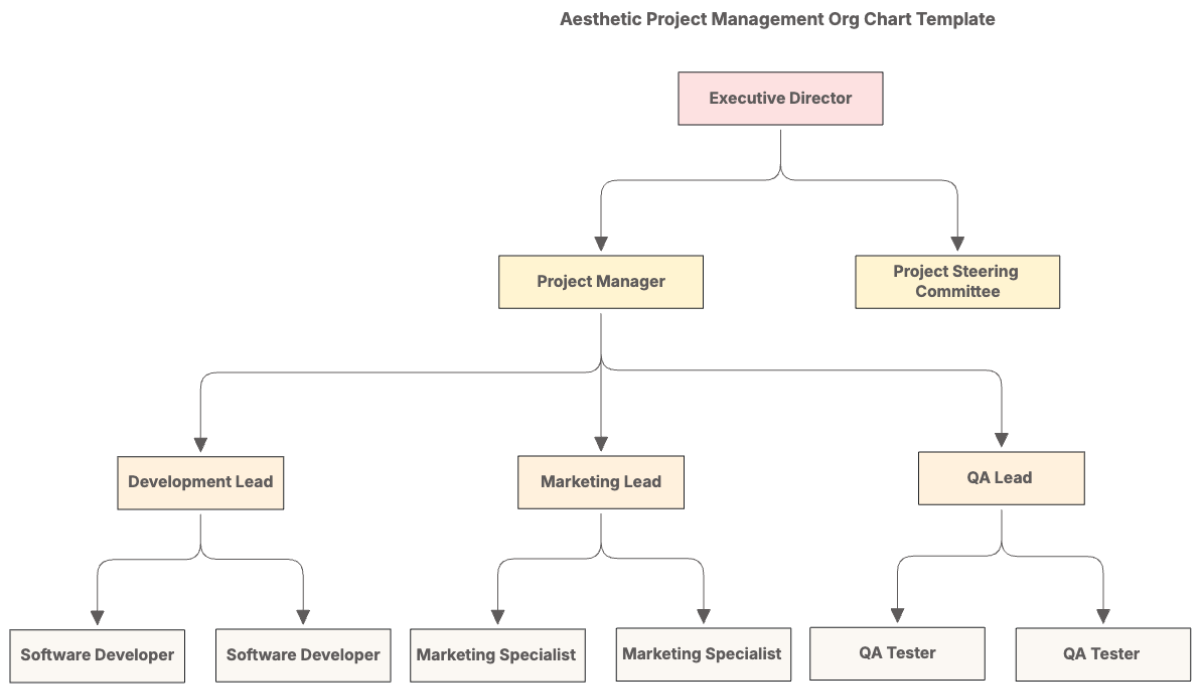 Aesthetic Project Management Org Chart Template