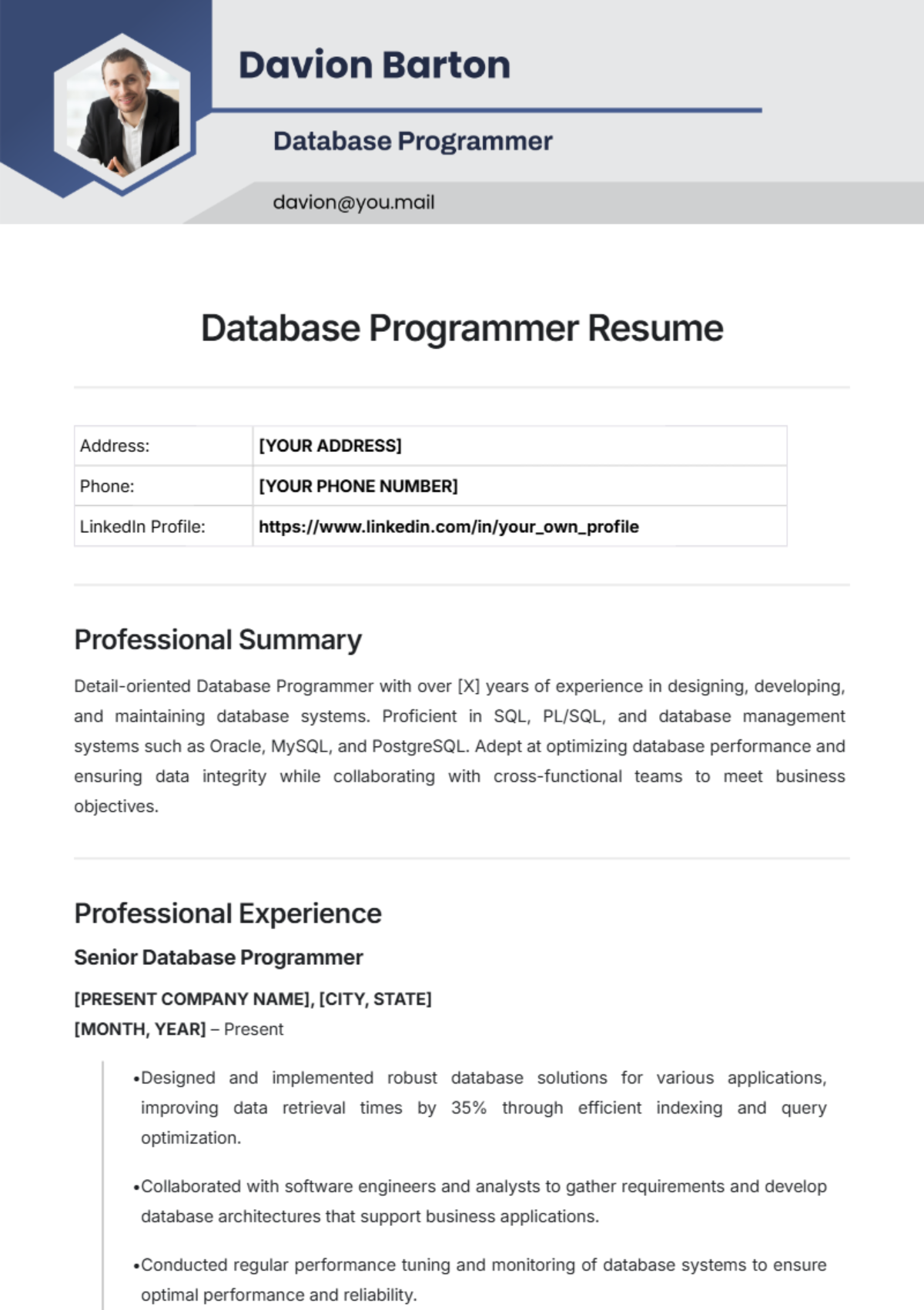 Database Programmer Resume Template - Edit Online & Download