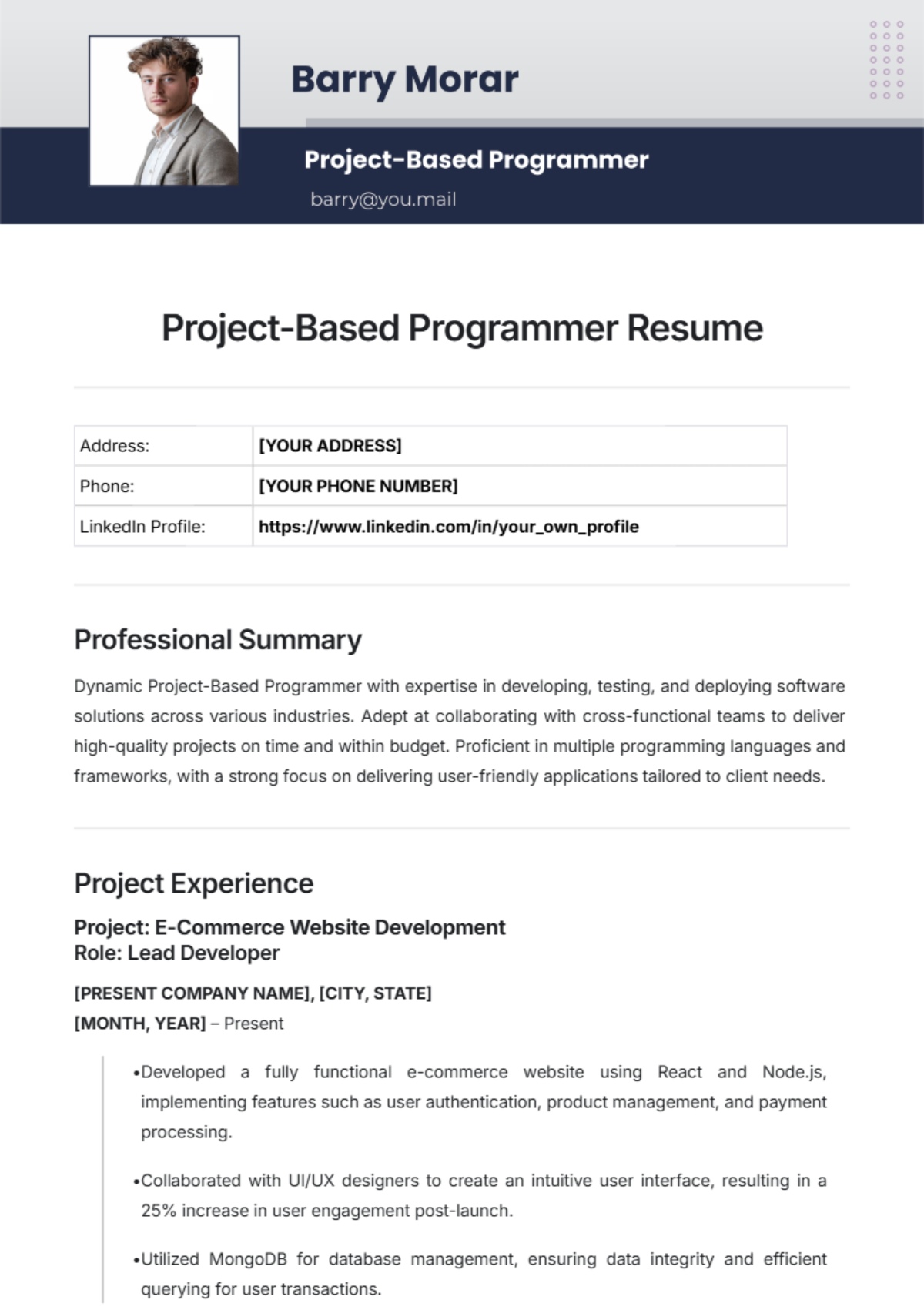 Project-Based Programmer Resume Template - Edit Online & Download