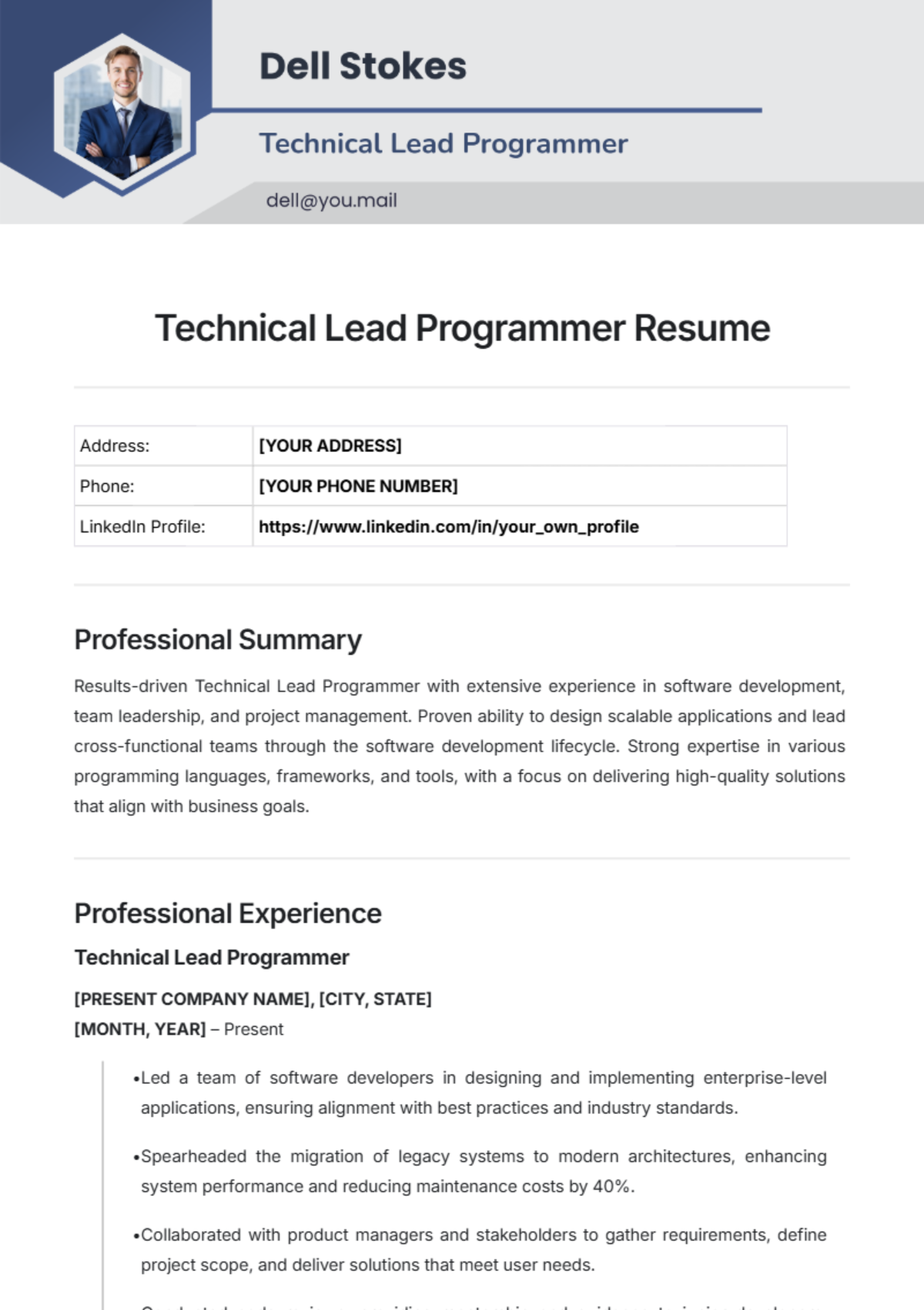 Technical Lead Programmer Resume Template - Edit Online & Download